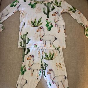 Posh peanut llama cactus pajamas.